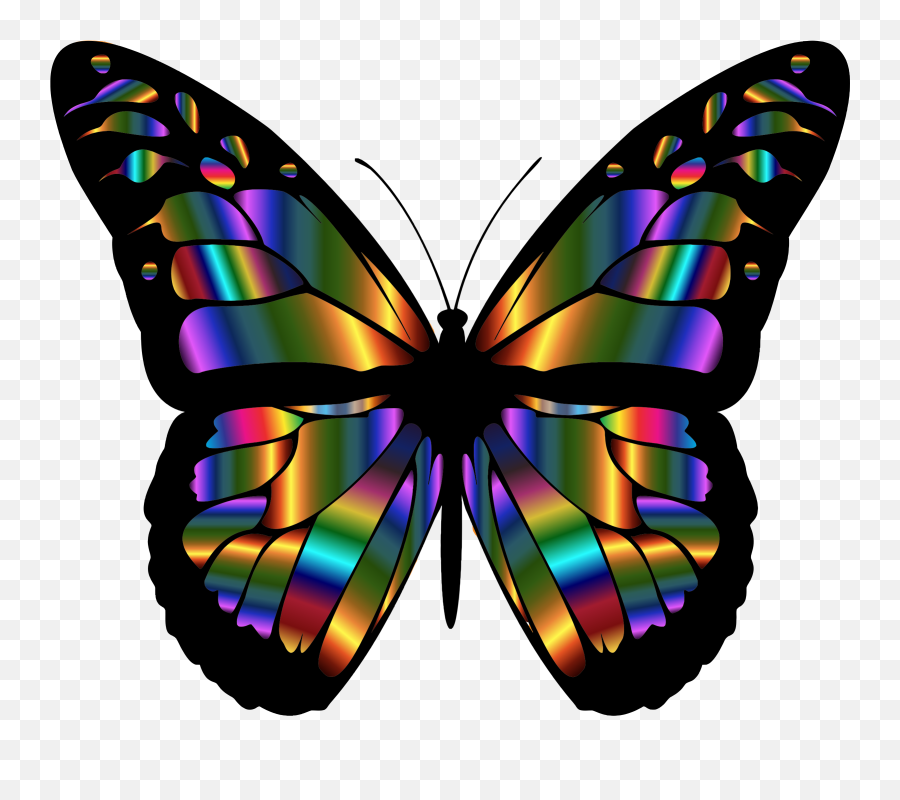 Download Butterfly Wings Clipart Colorful Butterfly Svg Png Butterfly Wing Png Free Transparent Png Images Pngaaa Com