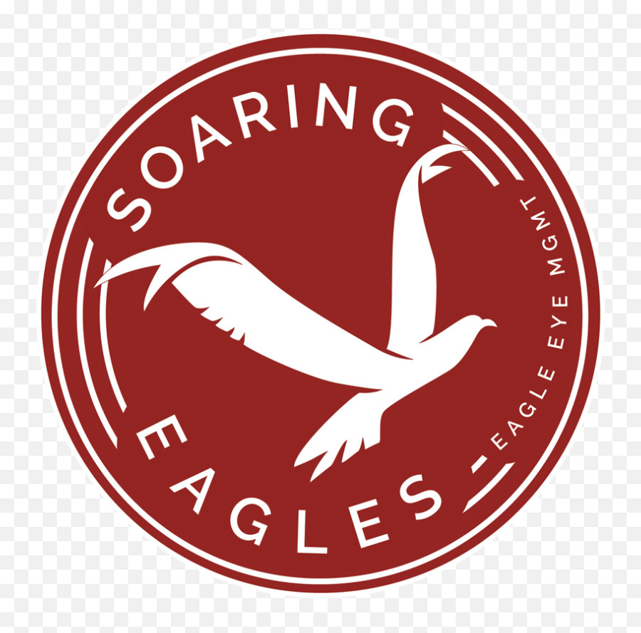 Soaring Eagles - Hora Do Planeta 2011 Png,Soaring Eagle Png