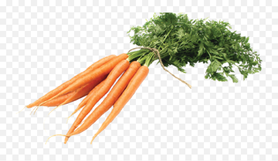 Carrot Pick It Try Like Preserve - Fresh Carrot Png,Carrot Png