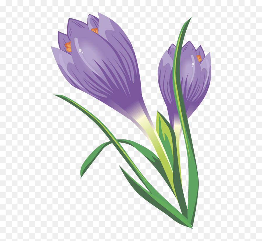 Free Crocus Cliparts Download Clip Art - Crocus Flower Clipart Png,Violets Png