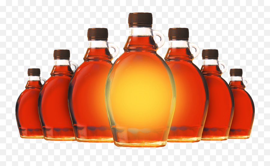 Maple Syrup Sweetness Scale - Maple Syrup Png Clipart,Maple Syrup Png
