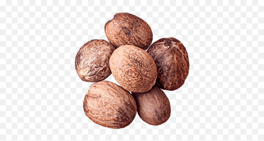 Download Hd Nutmeg - Walnut Transparent Png Image Nicepngcom Nutmeg,Walnut Png