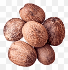 Download Hd Nutmeg - Walnut Transparent Png Image Nicepngcom Nutmeg,Walnut Png