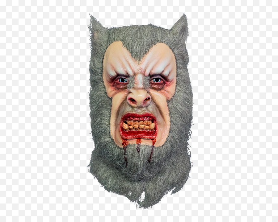 Hammer Horror - The Curse Of The Werewolf The Curse Of The Werewolf Png,Werewolf Transparent