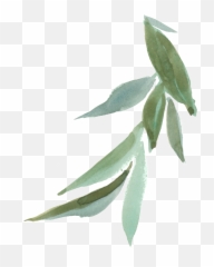 Hand Painted Green Leaves Falling Transparent Decorative - Background Png