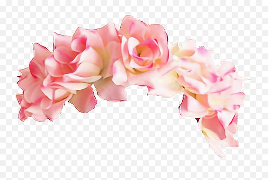 Pink Flower Crown Png Picture - Pink Flower Crown Png,Flower Crown Transparent