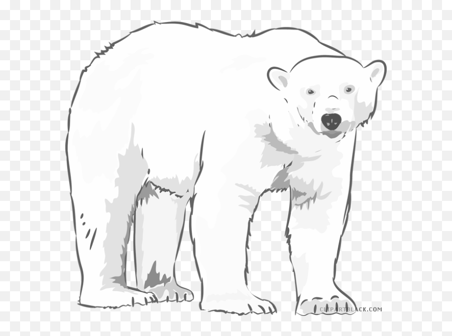 Polar Bear Clipart - Polar Bear Black And White Png,Polar Bear Transparent Background