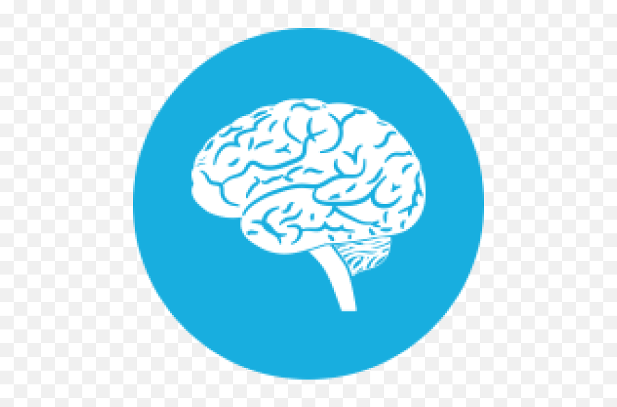 Cropped - Brainiconpng12png Bogdanmind,Brain Icon Png