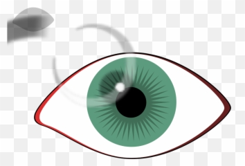 Blue Eye - No Lashes SVG Clip arts download Download Circle png