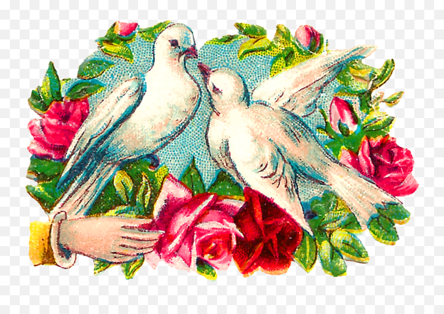 Doves Png - Clip Art,Doves Png