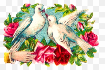 Doves Png - Clip Art,Doves Png