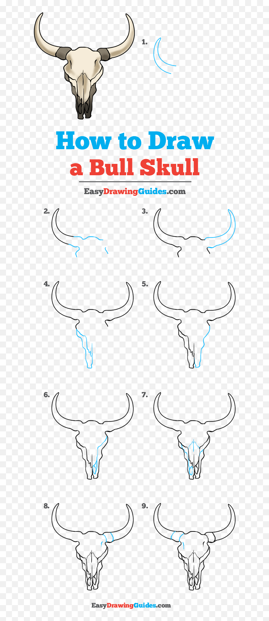 How To Draw A Bull Skull - Really Easy Drawing Tutorial Draw A Bull Skull Png,Cow Skull Png