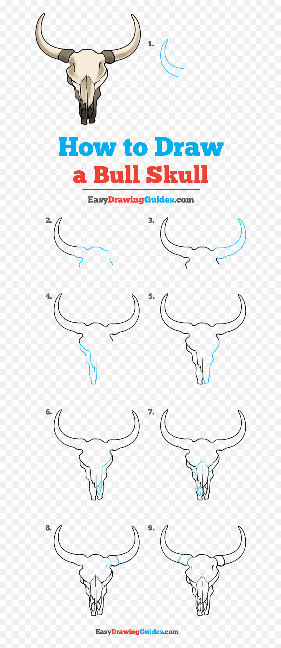 How to Draw the Dallas Cowboys Logo - Really Easy Drawing Tutorial