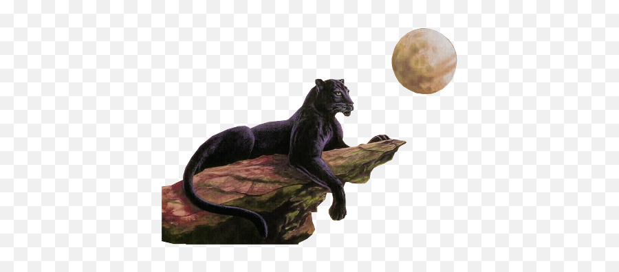 Clip Art Graphics - Panther Moon Png,Panther Png