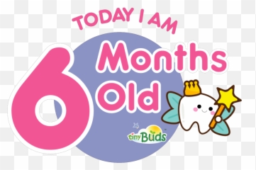 Tooth Fairy Love Sticker By Tinybuds Baby For Ios Android - Dot Png,Cute Safari Logo