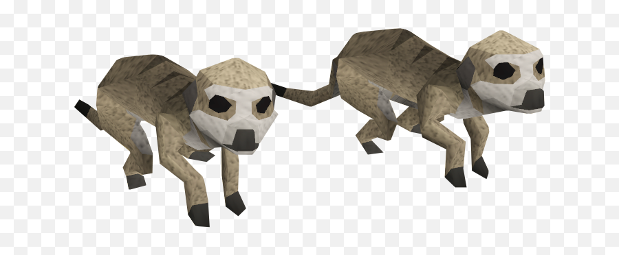 Meerkats - The Runescape Wiki Meerkats Rs3 Png,Meerkat Png