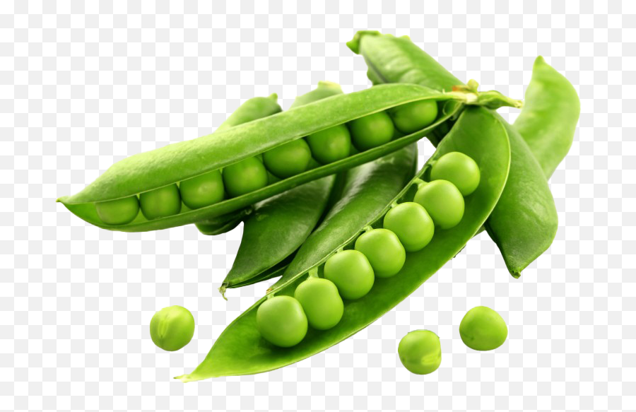 Pea Transparent Background Png Play - Transparent Green Peas Png,Vegetables Transparent Background