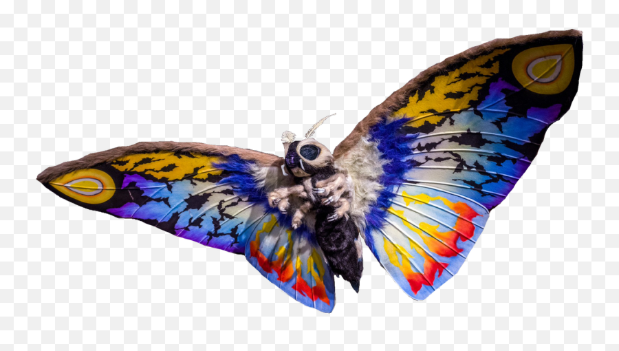 Mothra Leo - Mothra Rainbow Png,Mothra Png