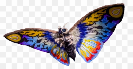 Mothra Leo - Mothra Rainbow Png,Mothra Png