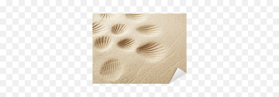 Sandy Beach Background For Summer - Mat Png,Sand Texture Png
