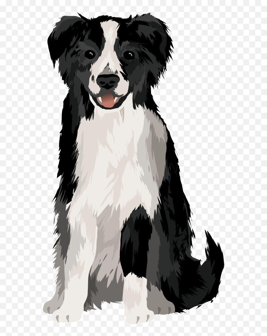 Flying Colors Canine Academy Serving Fort Wayne And The - Northern Breed Group Png,Australian Shepherd Icon