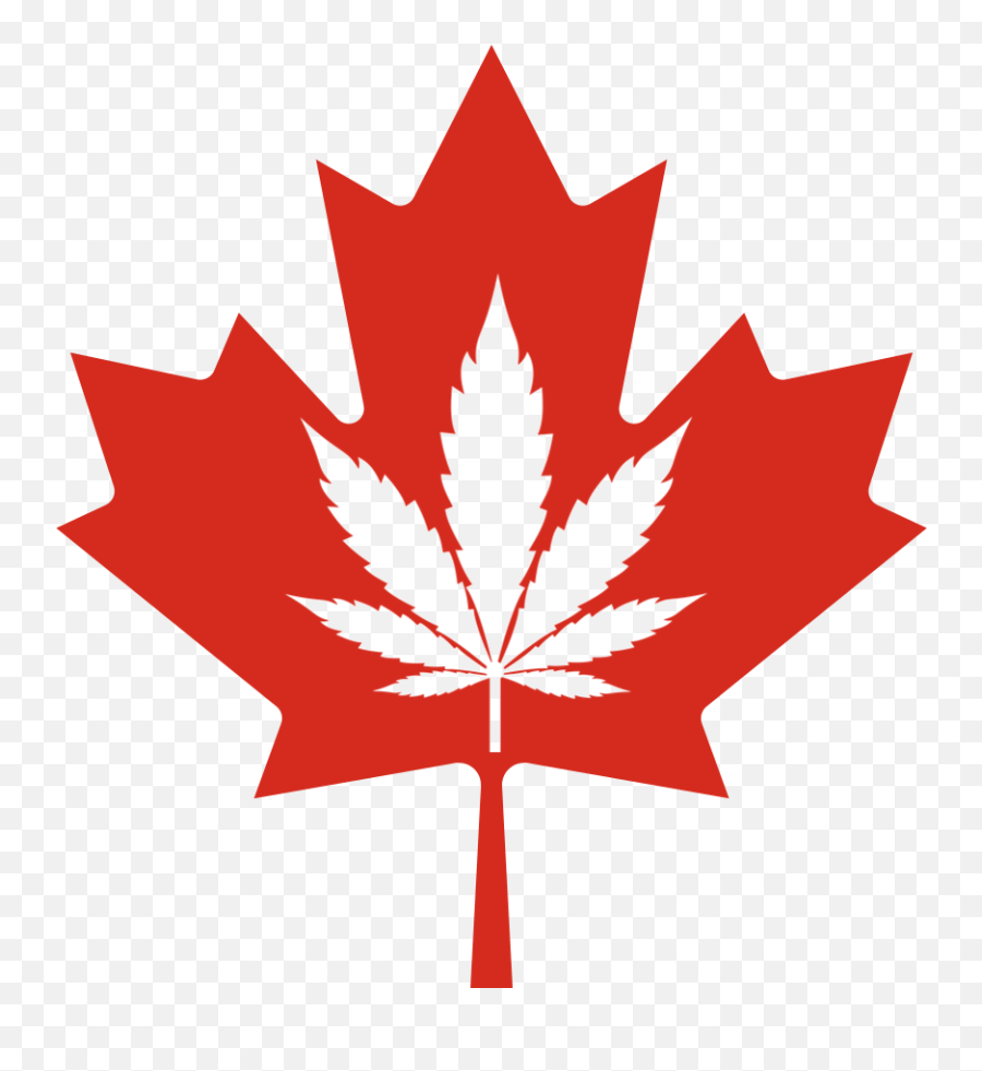 Legal History Of Cannabis In Canada - Maple Leaf Png,Potleaf Icon