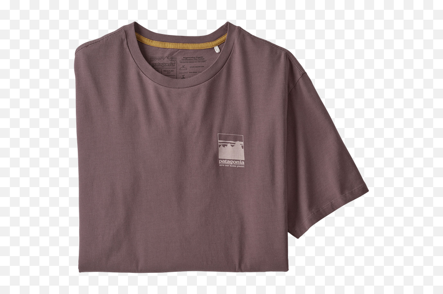 Menu0027s Alpine Icon Organic Pilot Cotton T - Shirt Patagonia Png,Fatigue Icon