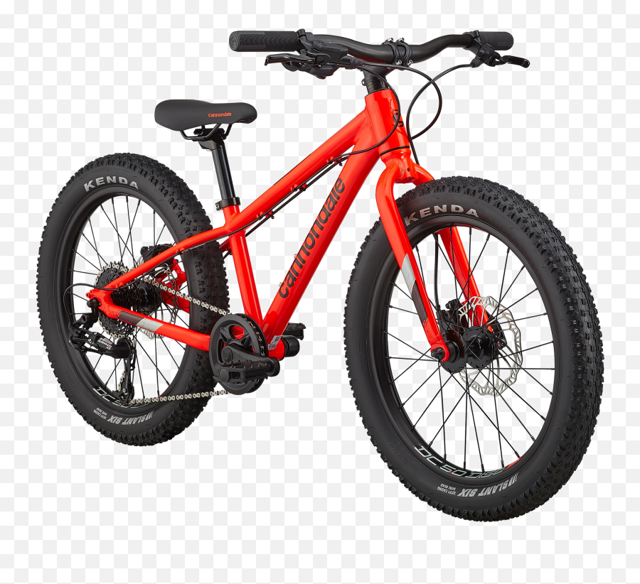 Cannondale Bikes Road Mountain Kids Electric - Cannondale Cujo 24 2021 Png,Cruzer Titanium Icon