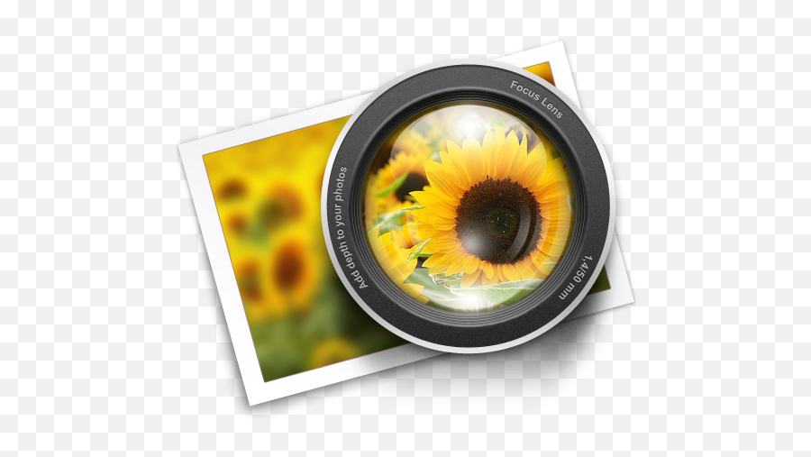 Focus By Trysoda - Common Sunflower Png,Focus Icon