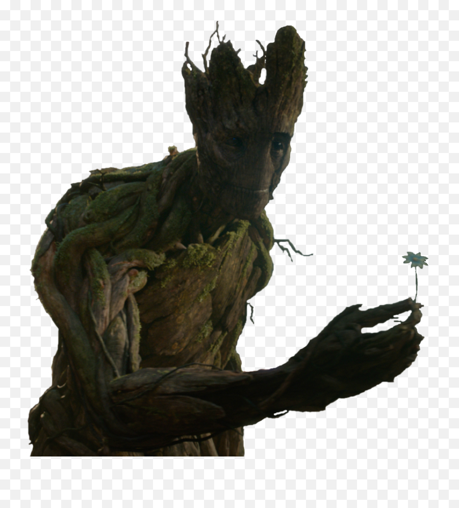 Download Giving Tree Groot Reaching Out And Sharing A - Groot Holding A Plant Png,Hand Reaching Out Transparent