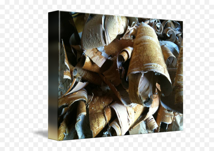 Tree Bark Chips By Anita Couto - Weapon Png,Tree Bark Png