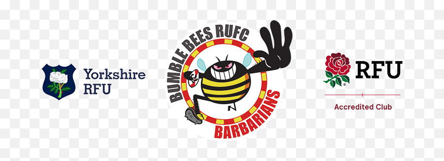Bumblesrugby U2013 The Original Mixed Ability Rugby Club - Honeybee Png,Bumblebee Logo