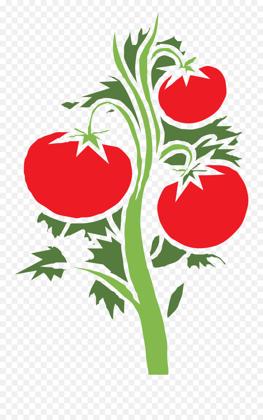 Tomato Clip Leaf Transparent U0026 Png Clipart Free Download - Ywd Tomato Plant Vector Png,Tomato Clipart Png