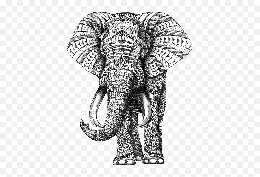 Found - Parencytumblrcom Via Tumblr Elephant With Designs Png,Transparent Pngs