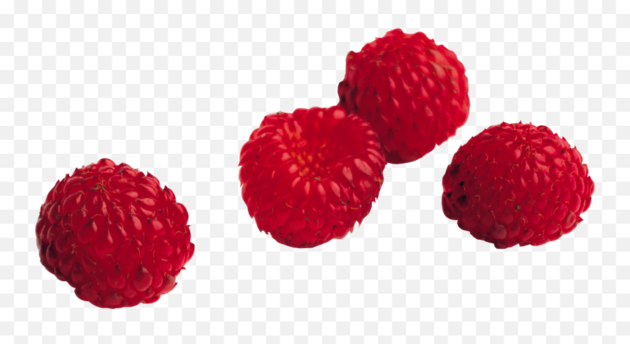 Raspberry Png Images Free Pictures Download - Transparent Background Berries Png,Raspberries Png