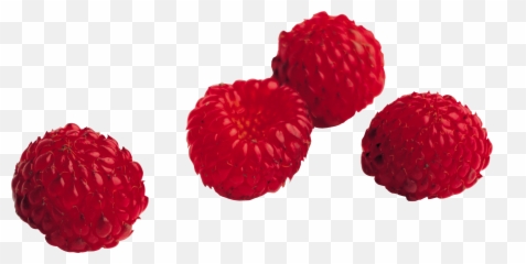 Raspberry Png Images Free Pictures Download - Transparent Background Berries Png,Raspberries Png