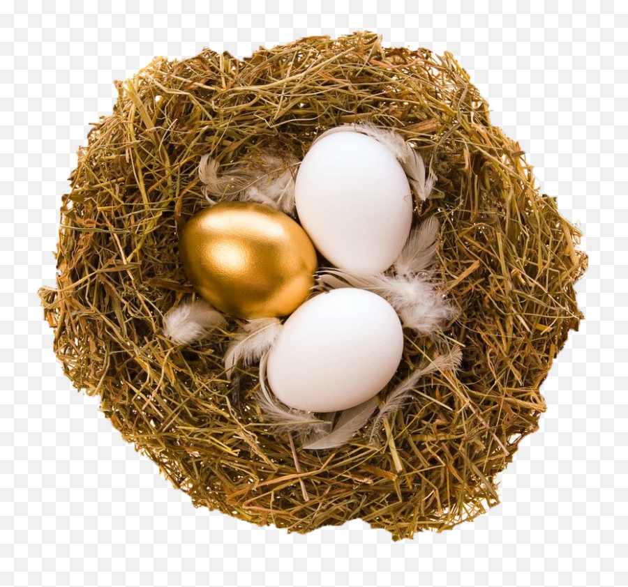 Download Quail Bird Nest Egg - Golden Egg Necklace Paskalya Altn Yumurta Png,Bird Nest Png