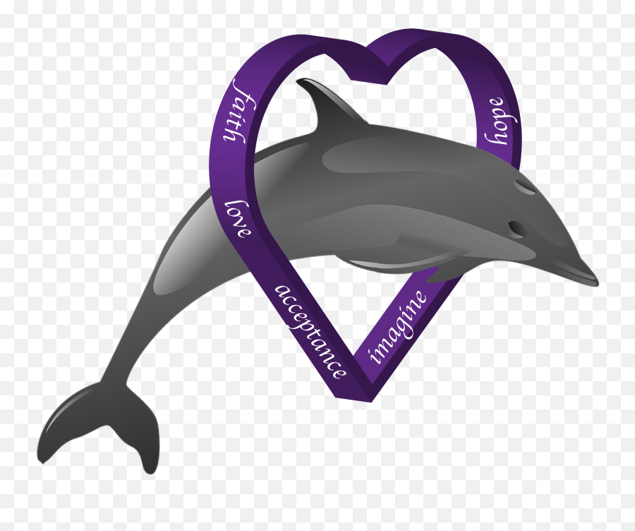 Dds Vs Png Dolphin - Shortbeaked Common Dolphin Clipart Common Dolphin,Dolphin Png