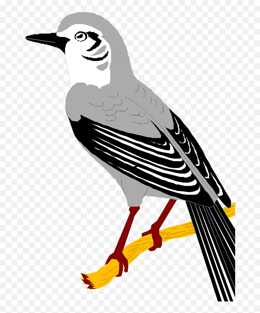 Mockingbird Svg Vector Clip Art - Svg Clipart Mockingbirds Clipart Png,Mockingbird Png