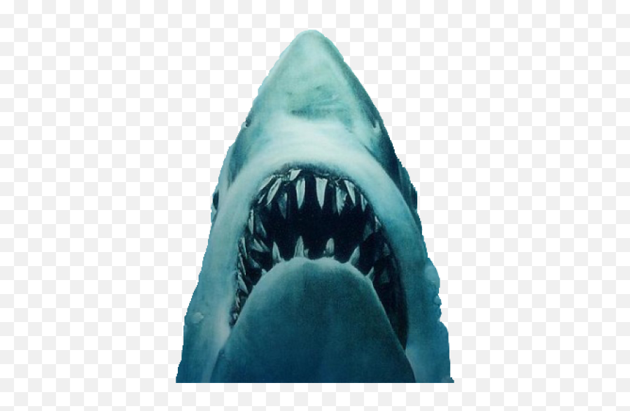 Shark Jaws Png Transparent - Jaws Poster,Jaws Png
