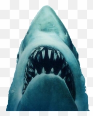 Jaws Movie Poster - Jaws Movie Poster Png,Jaws Png - free transparent ...
