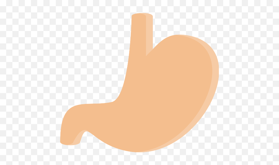 Stomach Png Icon - Estomago Svg,Stomach Png