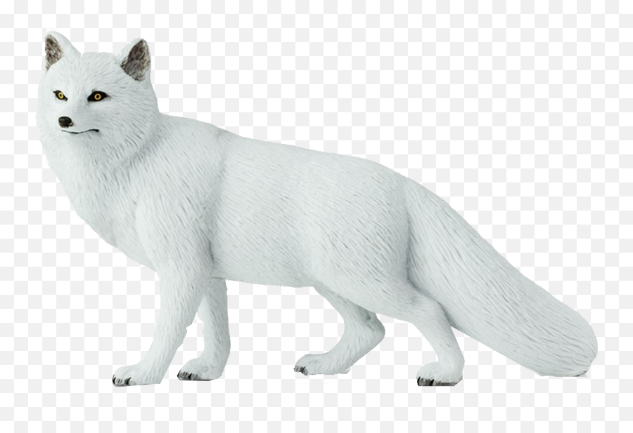 Download Arctic Fox - Full Size Png Image Pngkit Arctic Fox,Arctic Fox Png