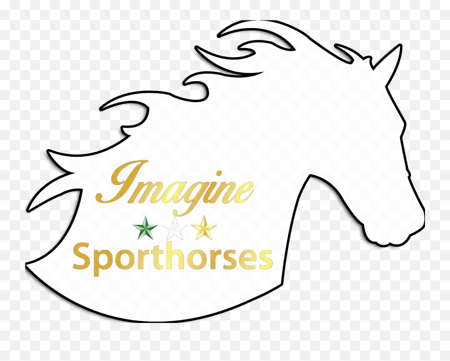 Janni - Logowhiteheaderblackborder Imagine Sporthorses Png,Black Border Png