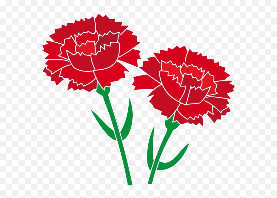 Free Carnation Flower Cliparts Download Clip Art - Red Carnation Clip Art Png,Carnation Png