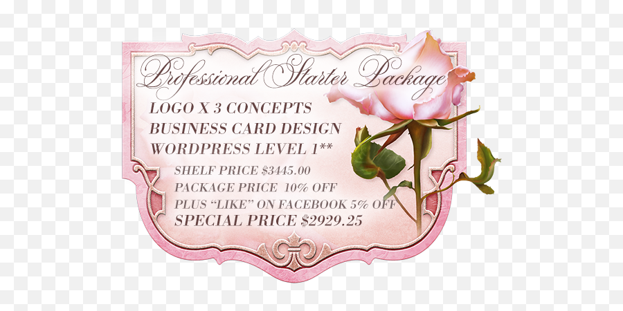 Blossom Graphic Design Boutique Business Specials - Garden Roses Png,Facebook Logo For Business Cards