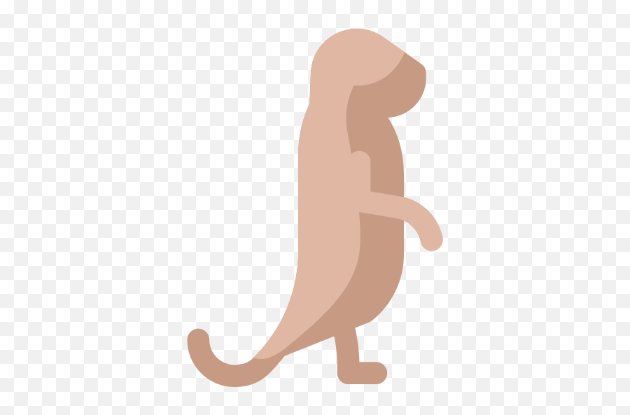 Meerkat - Free Animals Icons Illustration Png,Meerkat Png