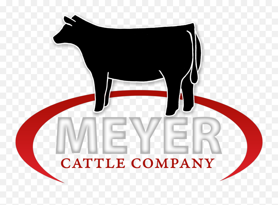 Winners - Meyer Cattle Angus Cattle Bred For Performance Cattle Ranch Cattle Company Logos Png,Cattle Brand Logo