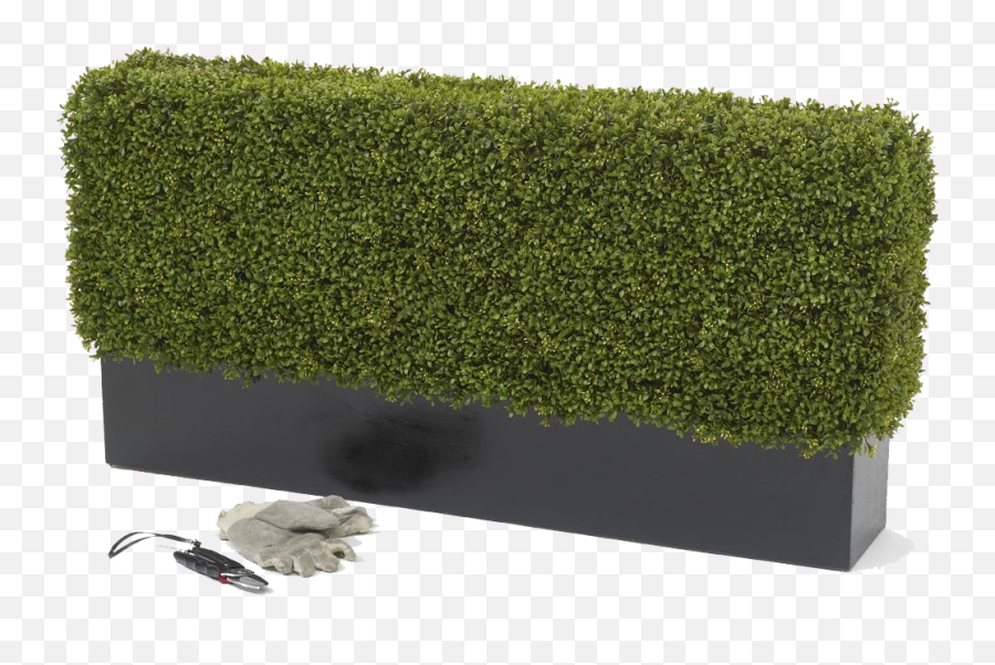 Artificial Premium Deluxe Boxwood Hedge - Outdoor Artificial Plants Uk Png,Boxwood Png