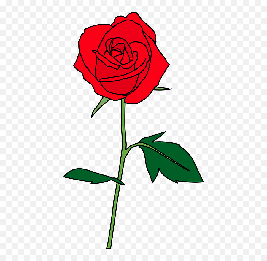Red Rose - Royalty Free Images Of A Rose Png,Stem Png